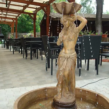 Гостевой дом Pensiunea Doneli